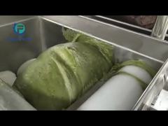 Papa P160 Automatic ice cream Mochi Encrusting Machine